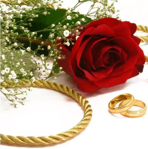 Новинка 2017 картина Fallout с эффектом масс Красивые розы Картина на холсте