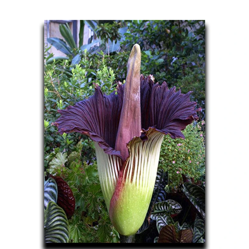 

Diy diamond paint 3d square diamond diamond mosaic embroidery flower bead embroidery craft rhinestone Flower