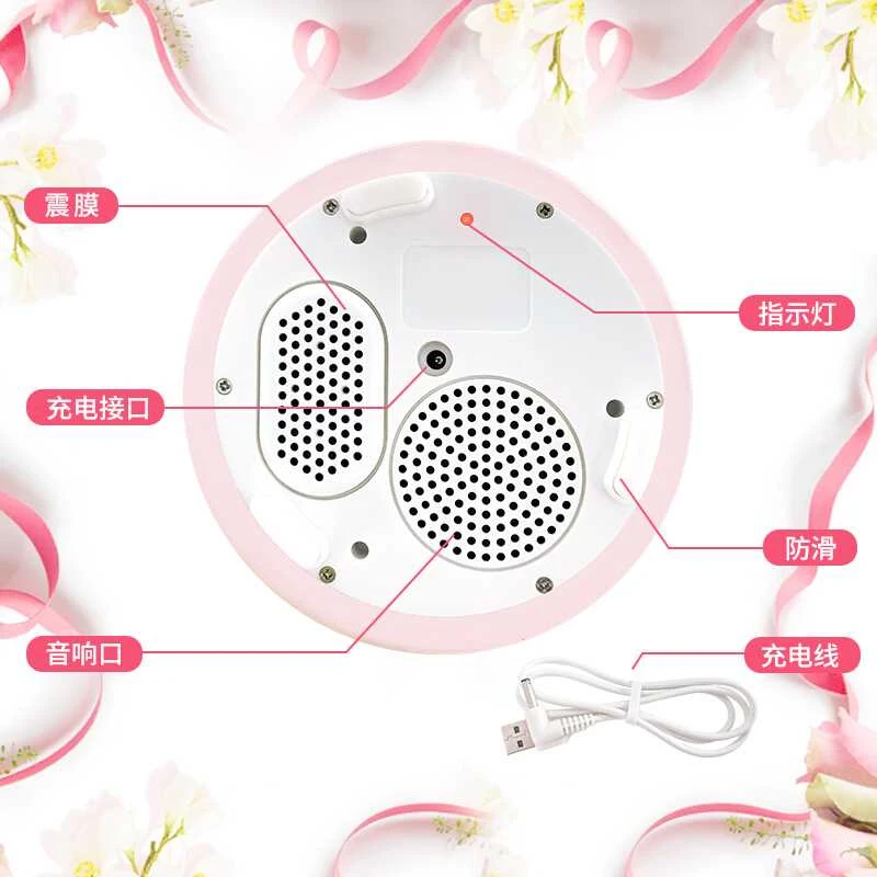 Японский hello kitty Presrved свежий цветок Bluetooth беспроводной динамик розовая роза 1 Сад Музыкальная Шкатулка Ночной светильник подарок на день рождения