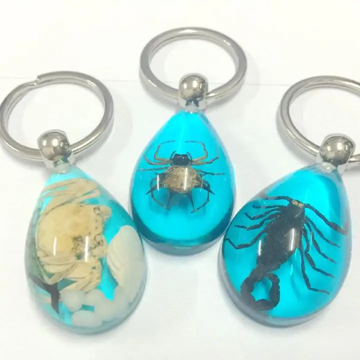 12 шт. редкий реальных Краб паук Скорпион образцов байкерские синий цветной
