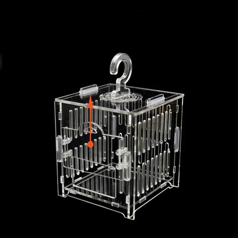 Прозрачная акриловая клетка для тараканов Кузнечика рептилий|Товары насекомых| |