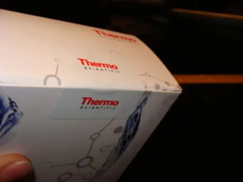 thumb