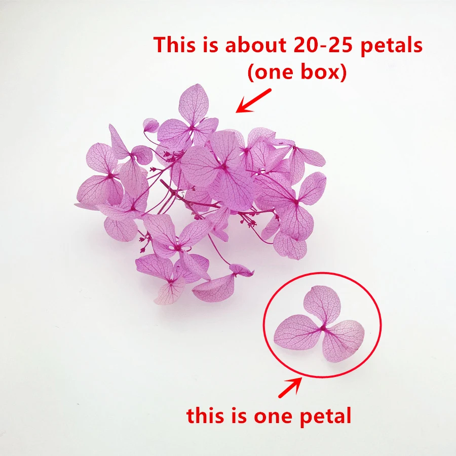 one box 20pieces petal Natural small leaf Hydrangea Dried flowers glass globe filler DIY jewelry making findings | Украшения и