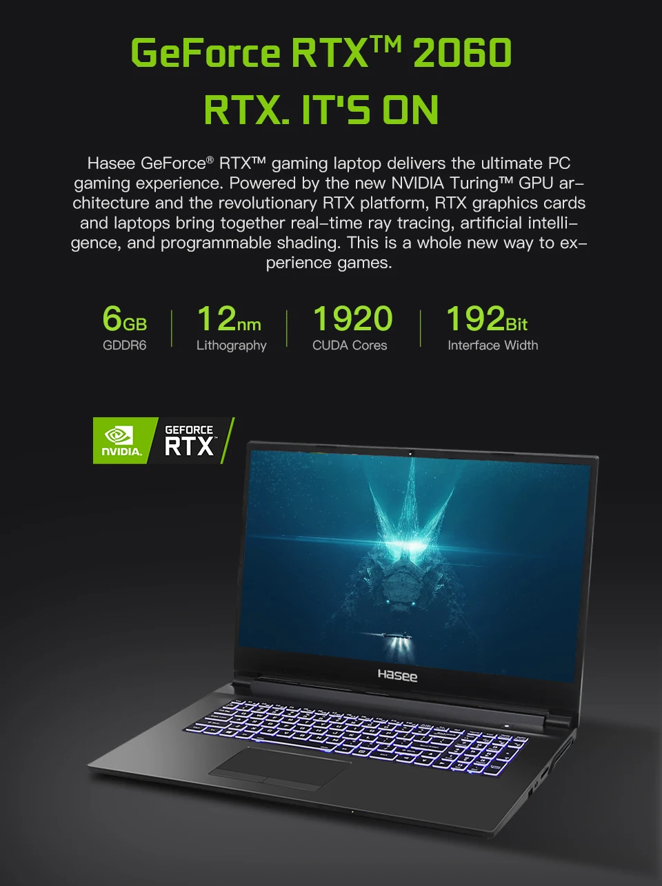 Hasee Z8-CT7NA ноутбук для игр(Intel Core I7-9750H+ RTX 2060/8GB ram/512G SSD/15,6 ''ips 45% NTSC) hasee-фирменный Notbook