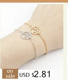 DIANSHANGKAITUOZHE Gold Colour Bijoux De Pied Femme Leg Chain Stainless Steel Bracelet Femme Women Double Heart Foot Anklets