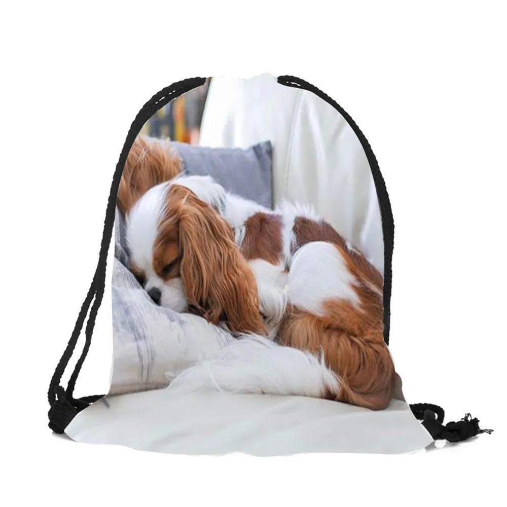 Модный рюкзак на шнурке с 3D принтом животных Чарльз-спаниель для женщин и мужчин