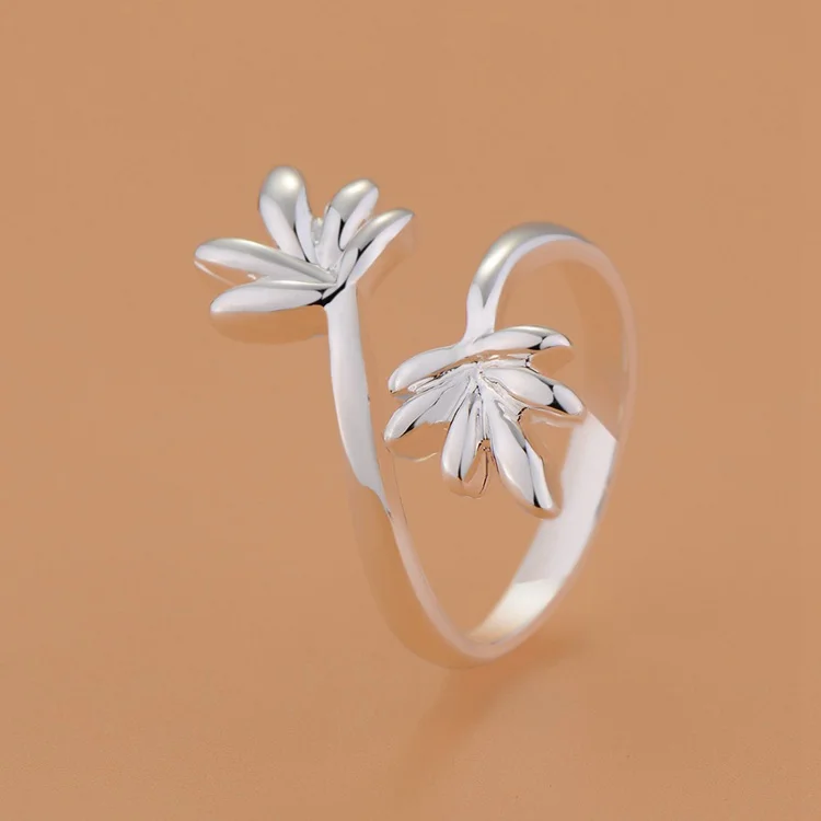 Модные кольца для ювелирных изделий новые популярные с серебряным покрытием - Фото №1