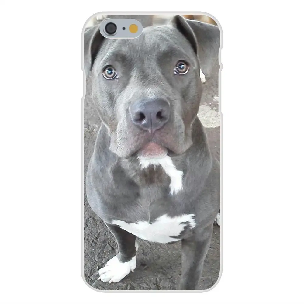 Pitbull Dog Для Galaxy J1 J2 J3 J330 J4 J5 J6 J7 J730 J8 2015 2016 2017 2018 mini Pro Специальное предложение