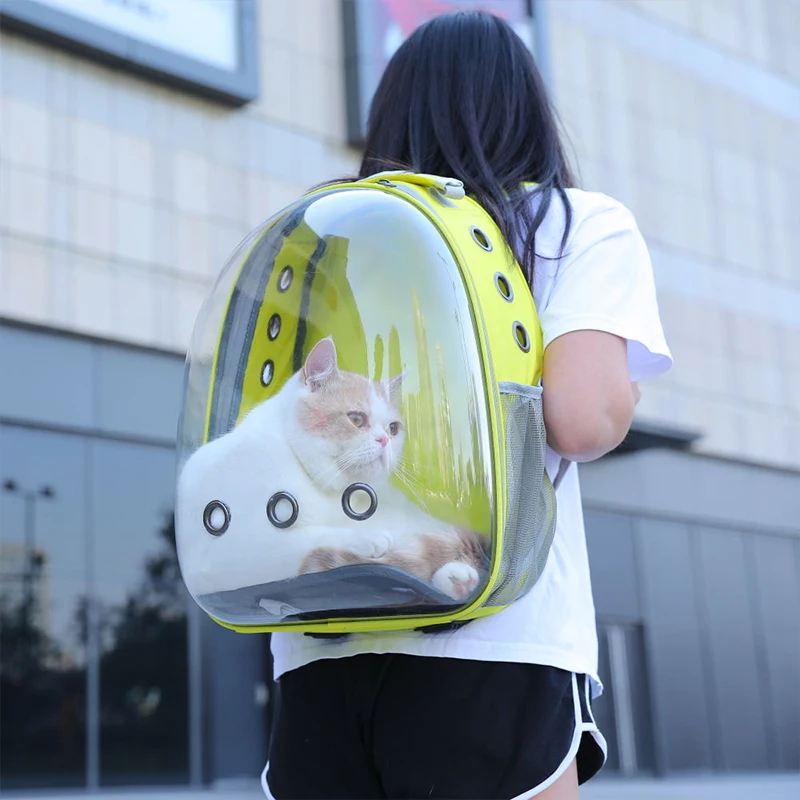 HOOPET дышащая маленькая сумка-переноска для питомцев переносная сумка путешествий