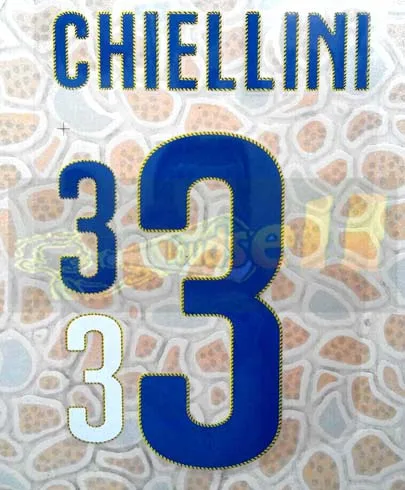 Многоцветный Италия Дом EL SHAARAWY CHIELLINI DE ROSSI MARCHISIO BALOTELLI Пирло nameset патч печать значок - Цвет: Многоцветный