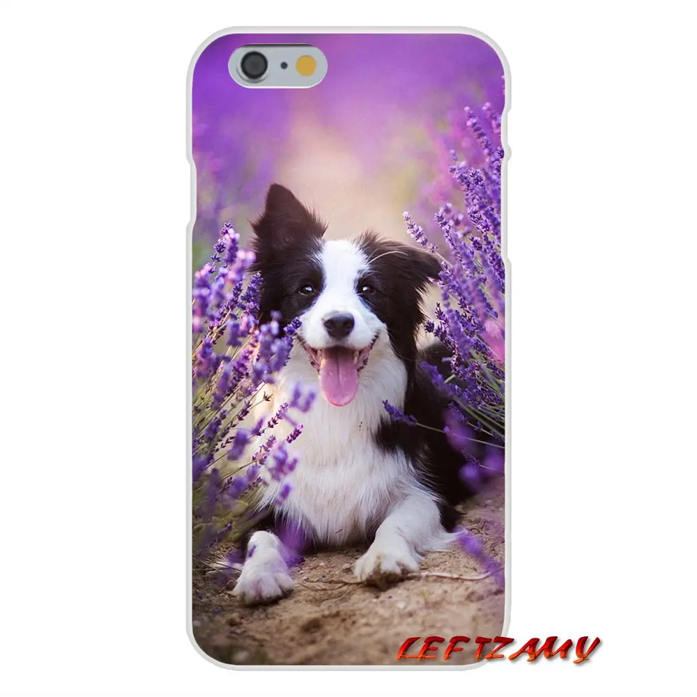 Чехол для мобильного телефона Xiaomi Redmi Note 6A MI8 Pro S2 A2 Lite Se MIx Max 2 3 F1 Oneplus 6T Border Collie lovely