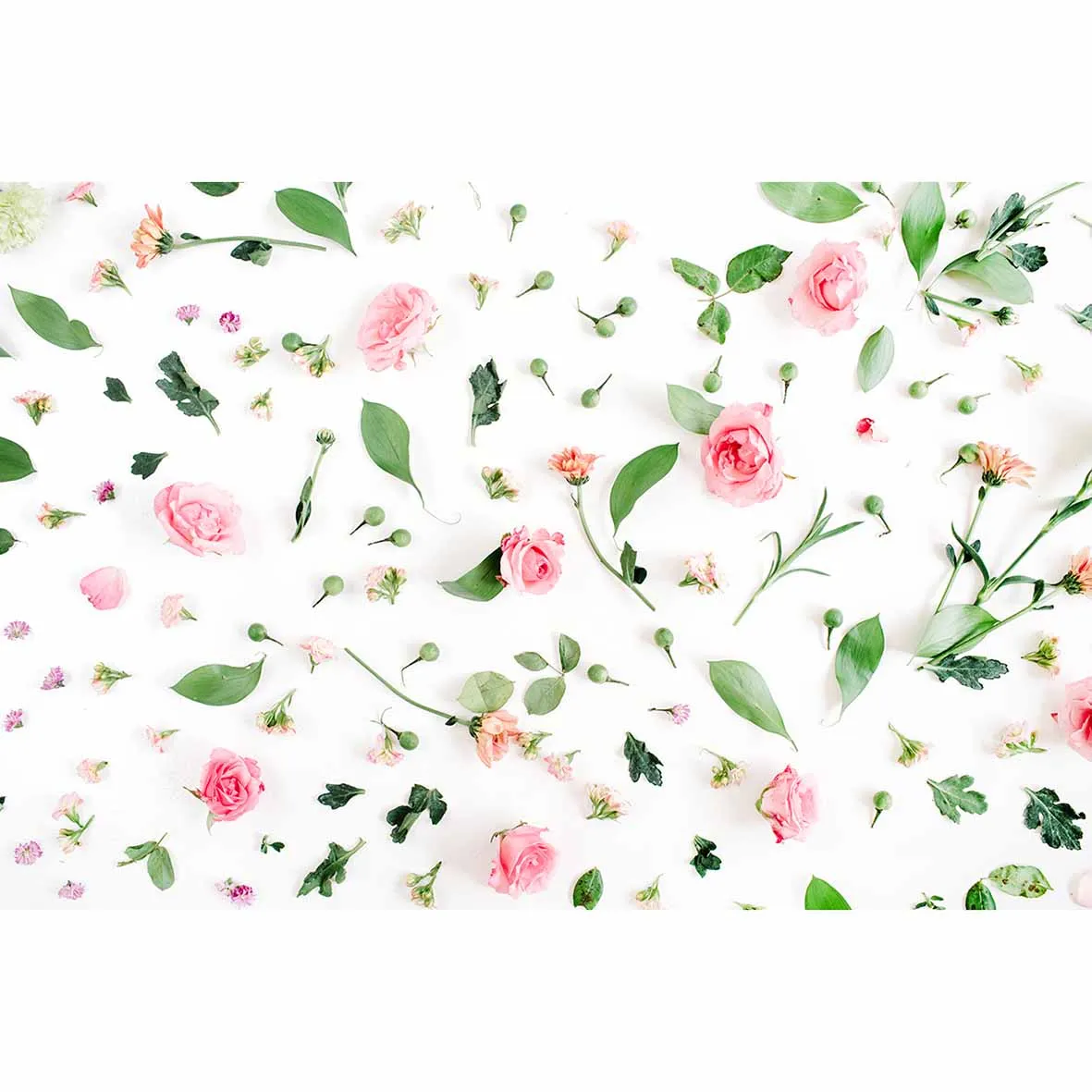 Фотофон Funnytree белый фон с розовыми свежими цветами и зелеными листьями милый для