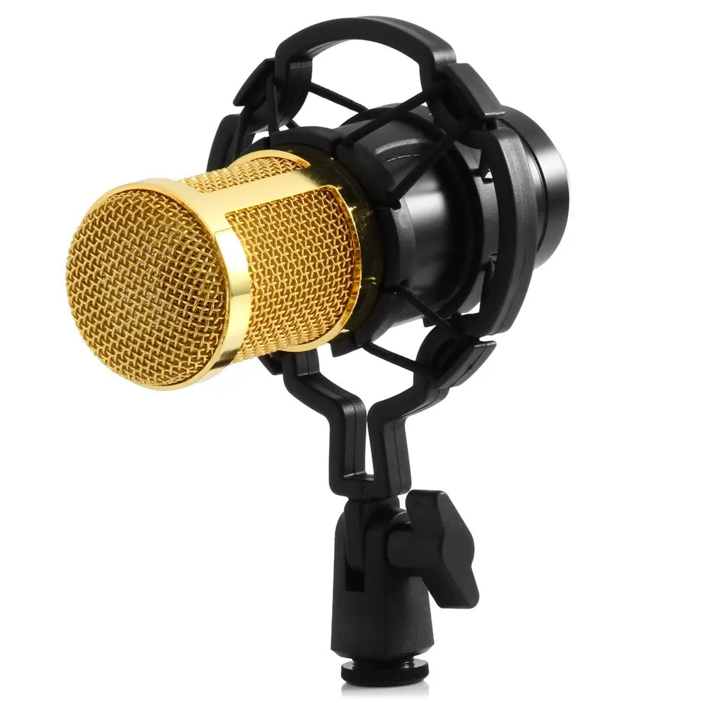 LEIHAO BM800 Professional Dynamic Condenser Wired Microphone Mic Sound Studio for Recording Kit KTV Karaoke with Shock Mount | Электроника