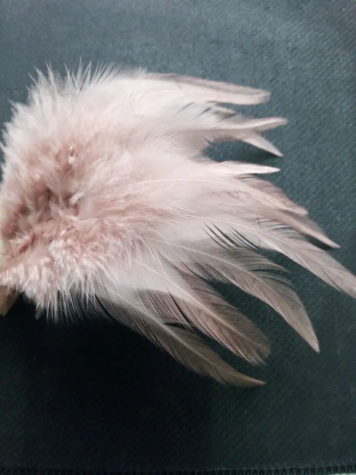 Ожерелье фазана 4 6 дюймов/10 15 см 20 шт.|pheasant feather|feather featherdecorative feathers |