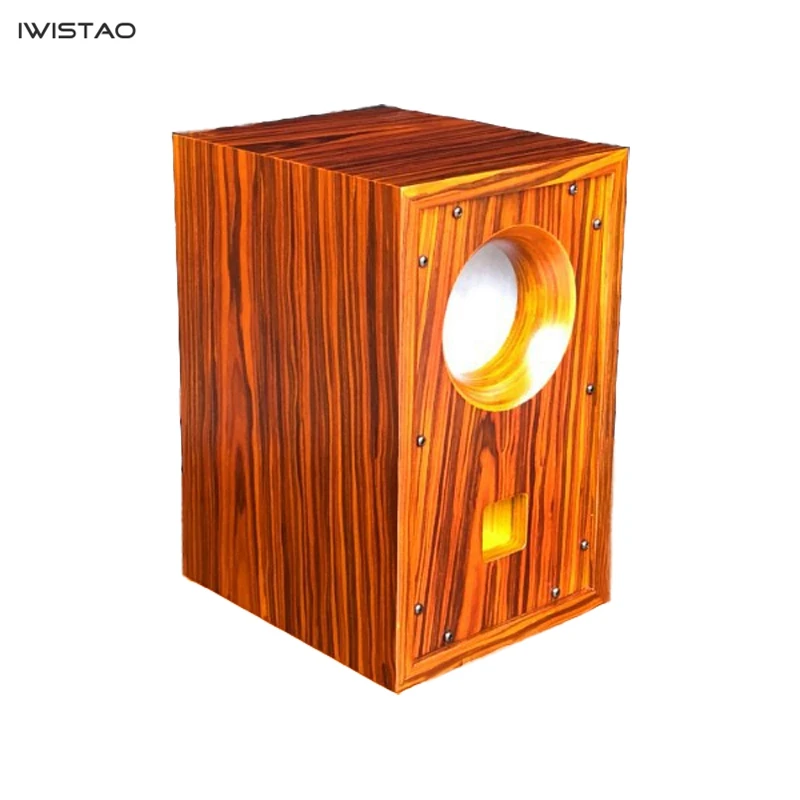 IWISTAO HIFI Полнодиапазонный пустой корпус динамика инвертированный 1 пара
