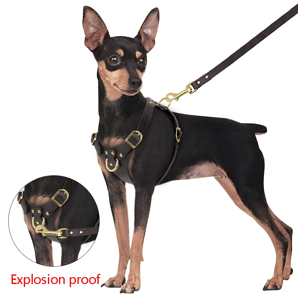 Шлейка-поводок для собак питбуля комплект из натуральной кожи не тянется Сбруя