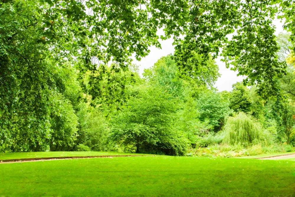 

room printed curtains Grassland sunshine long curtain for the living room curtains for bedroom luxury home modern curtains