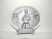

High-quality Taekwondo competition medal personality trend custom competition medals