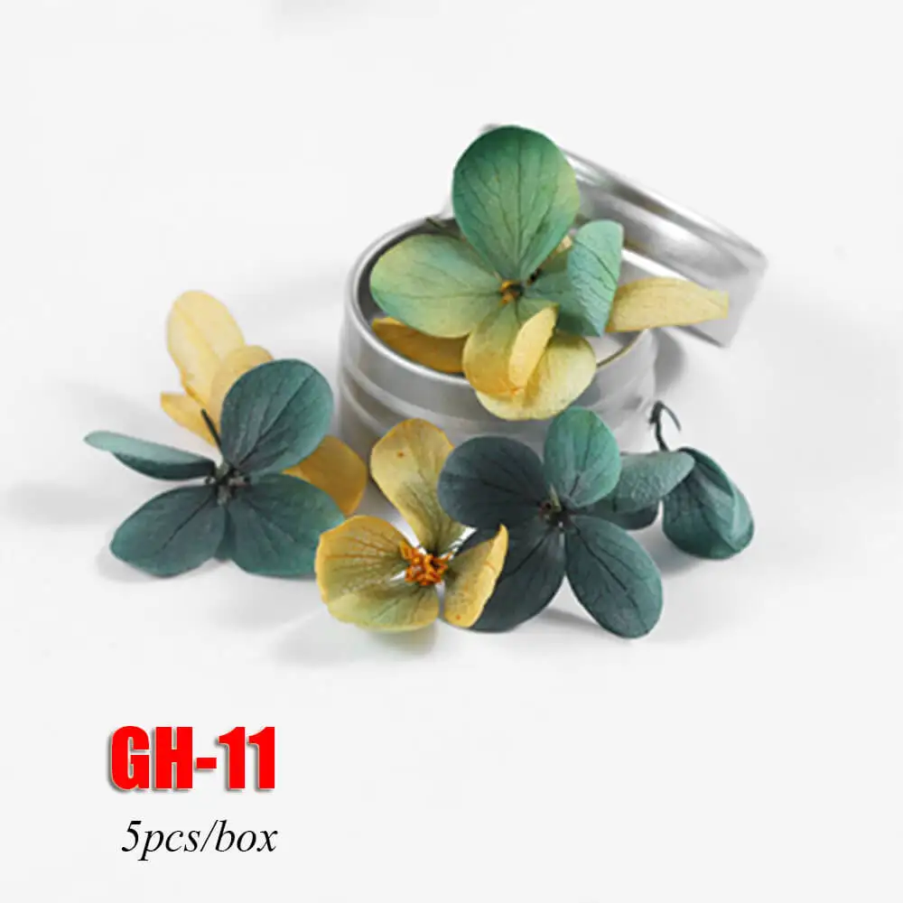 GH-11 5 шт./кор. красочные засушенный натуральный вечная цветочный дизайн ногтей украшения «сделай сам» советы на весь ноготь наклеивающиеся Переводные картинки для детей летний Нейл-арт - Цвет: GH-11