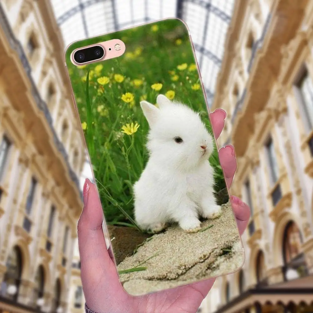 Милый Белый Кролик Банни для Huawei P7 Honor 4C 5A 5C 5X 6 6C 6A 6X 7 7X 8 9 V8 V10 Y3II Y5II Y6II G8 Play Lite мягкий