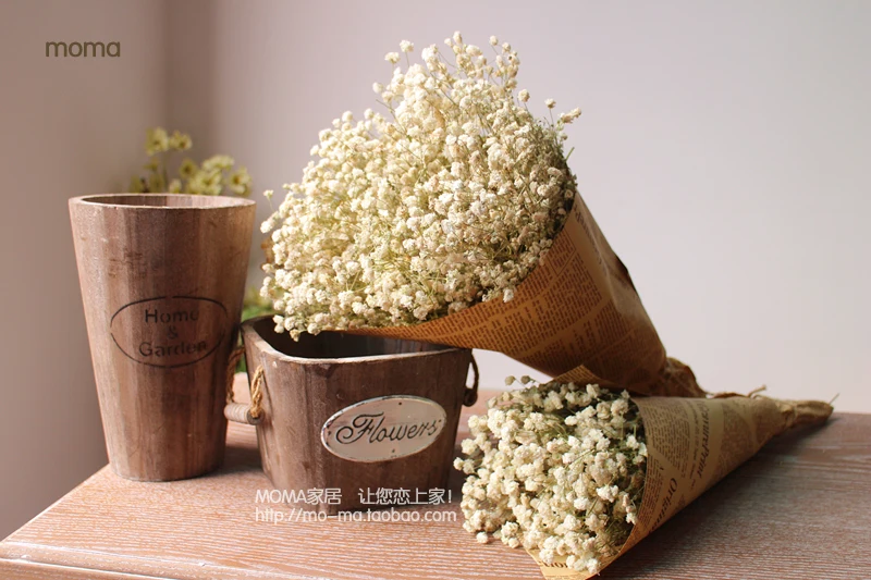 Звездные настоящие цветы сушенные для хранения продуктов окно дисплея свадьбы