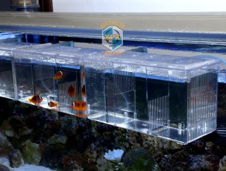 Новые 2 комнаты Betta рыбоводство коробки двойные Гуппи инкубационная изоляция инкубатора Акриловые Мини аквариумные танки прочный
