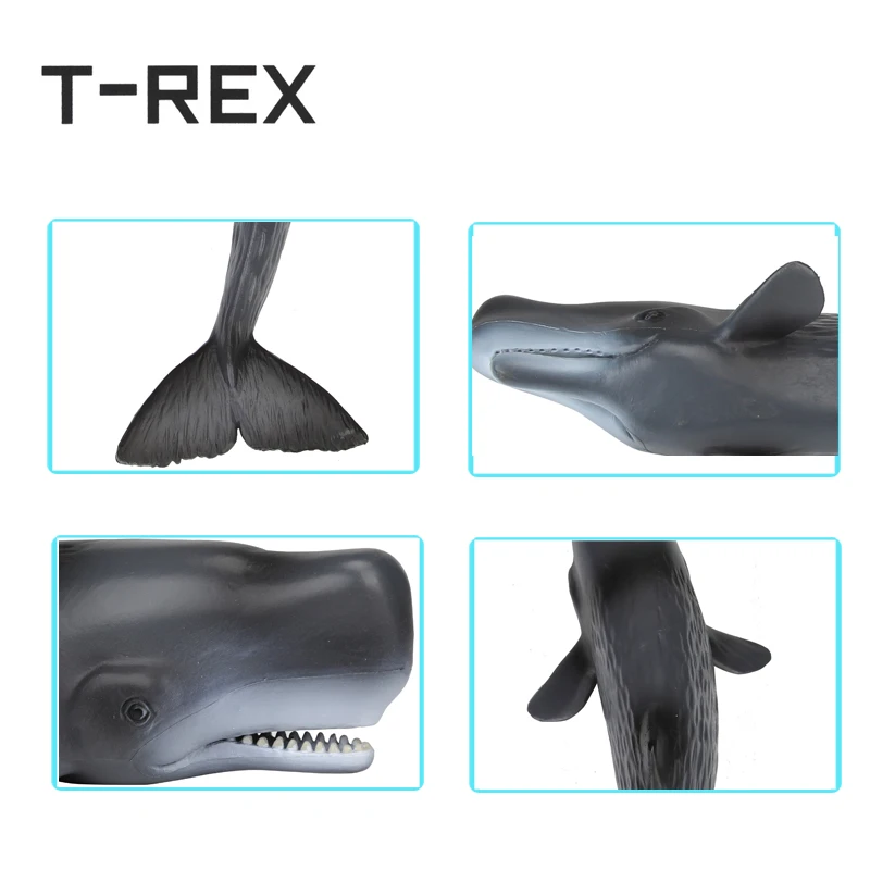 24 см КИТ Кашалот моделирование морской жизни с животными из ПВХ Модель игрушки