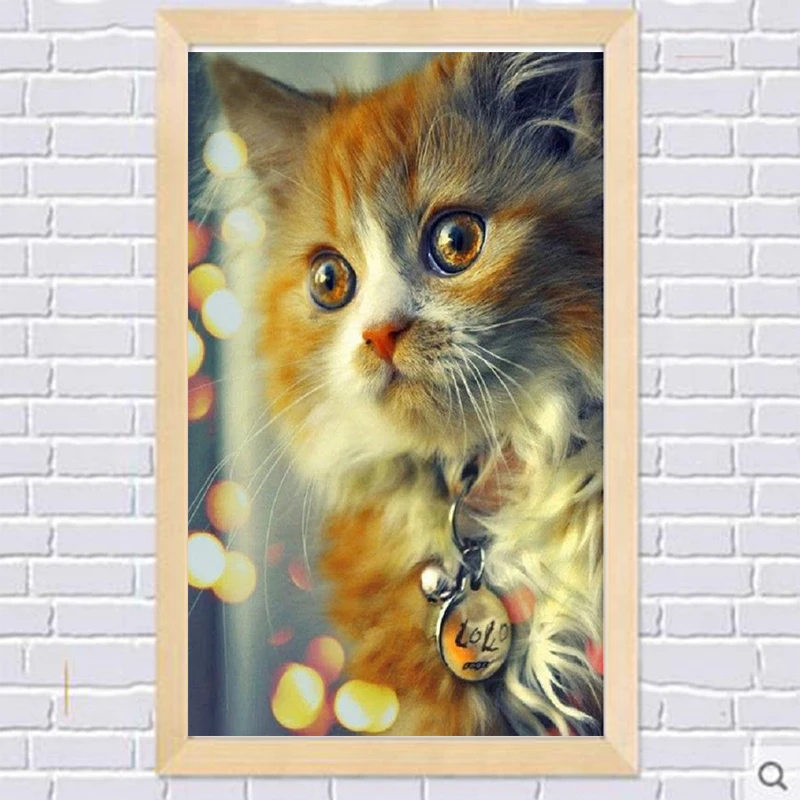 5D DIY Алмазная вышитый милый кот картина крестиком набор Стразы мозаика Домашний