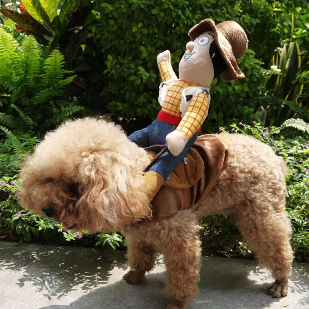 Лидер продаж костюм для верховой езды лошади собаки смешной на Хэллоуин