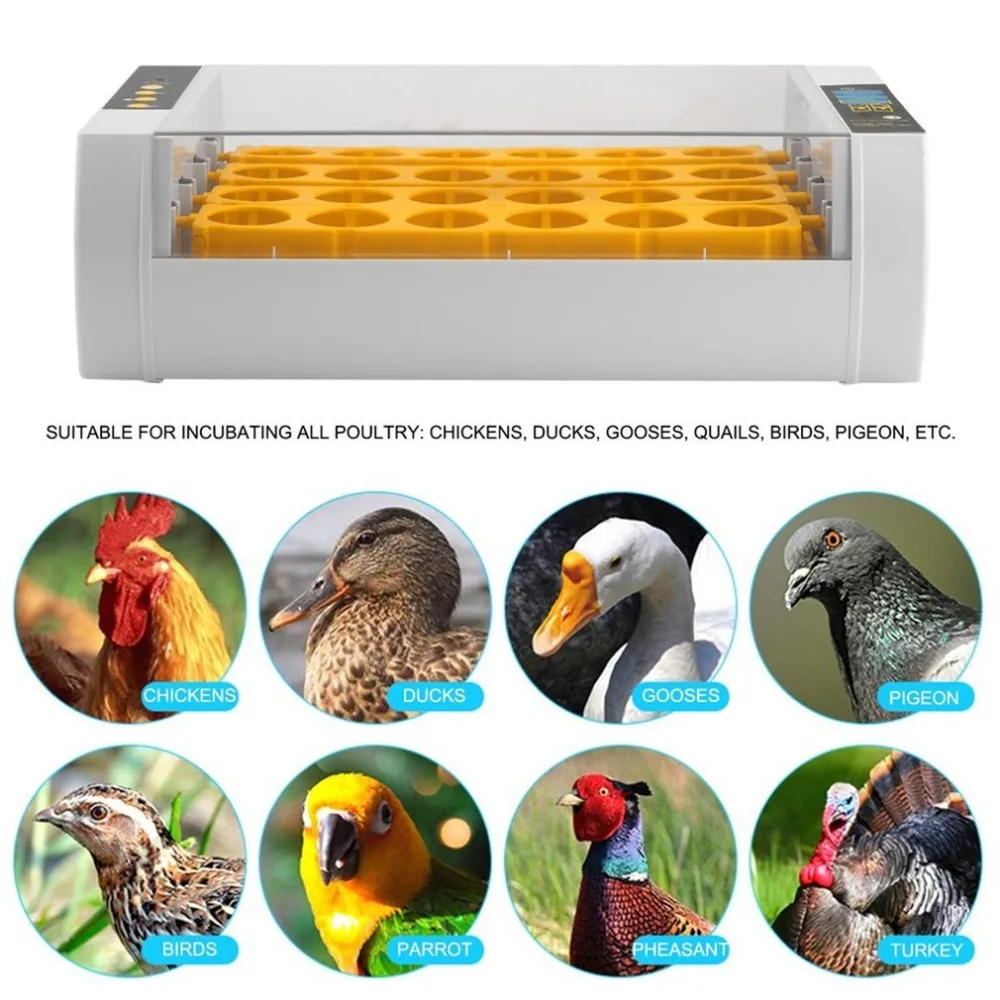 Practical 24 Eggs Large Capacity Mini Incubator For Chicken Poultry Quail Turkey Home Use Automatic Egg Turning Drop ship |