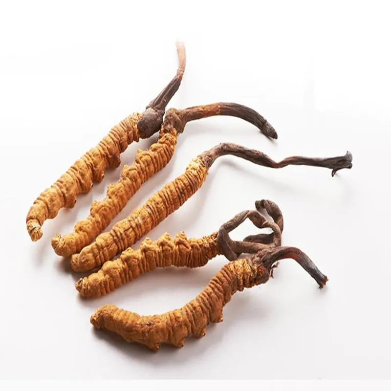 Название бренда cordyceps sinensis Ophio cordyceps sinensis экстракт порошок для тела Тип добавки витамины сопротивление усталости отбеливание