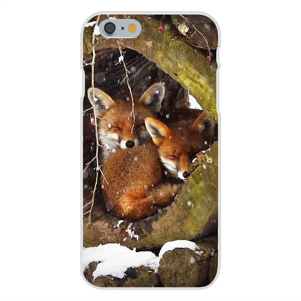Мягкие защитные чехлы из ТПУ для Apple iPhone X XS Max XR 4 4S 5 5C 5S SE 6 6S 7 8 Plus Animal Fox | Мобильные
