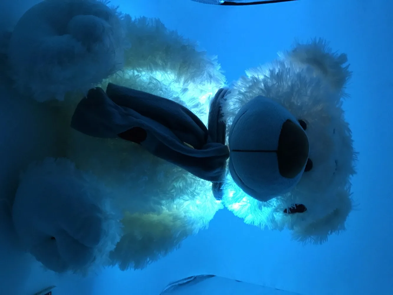 Музыкальное воспроизведение светящийся плюшевый мишка тедди со светодиодный