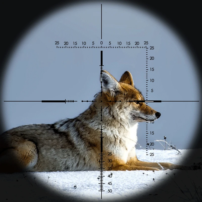 Прицел для охоты FIRE WOLF 10 40X56AOE оптический прицел с регулировкой на боковое колесо