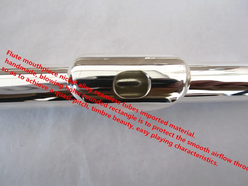 Новый инструмент для флейты студенческий еггинсы 16 отверстий E key silver piccolo