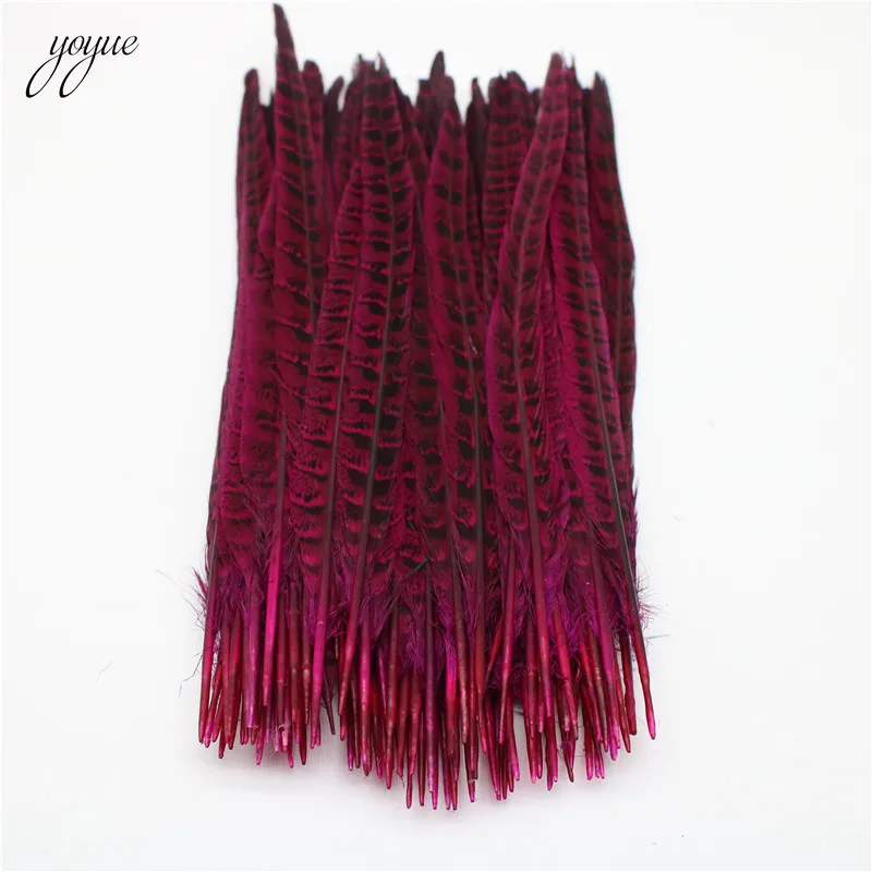 10 шт./лот перья хвоста фазана 25 30 см/10 12 дюймов Натуральные женские для рукоделия
