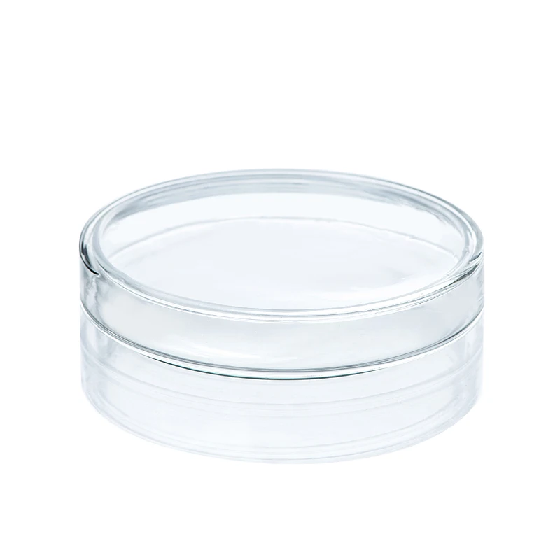 

10 Pieces 75mm Glass Petri Dish