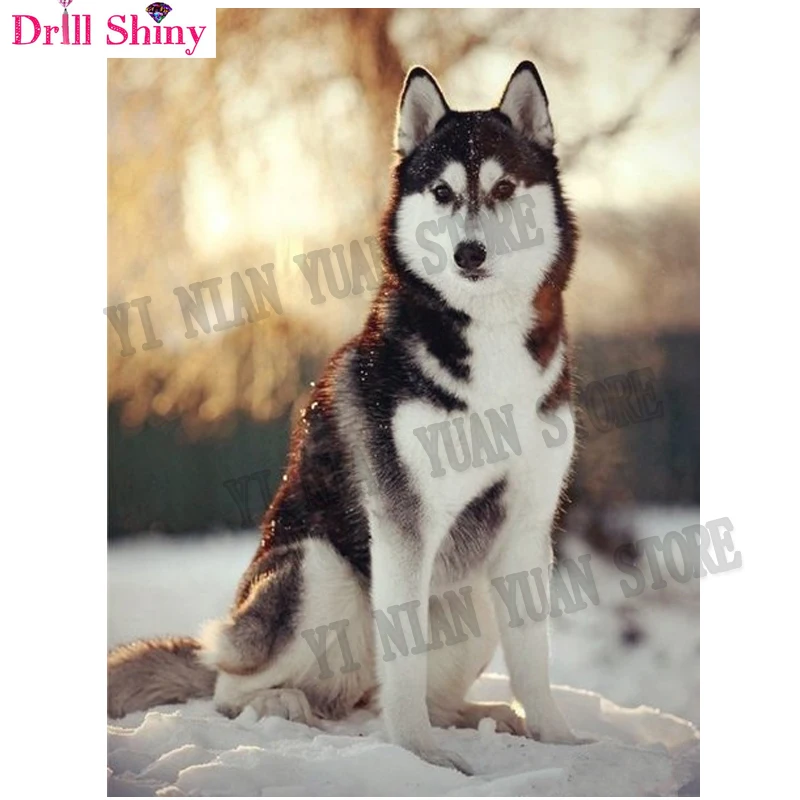Новинка алмазная 5D картина сделай сам вышивка Хаски снег 3D Алмазная мозаика