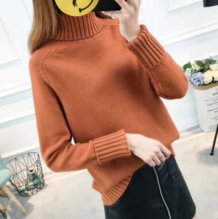 Fall and Winter 2019 New Loose High-necked Sweater Woman Korean Edition Long-sleeved Bottom Knitted Plushing Thicken | Женская одежда