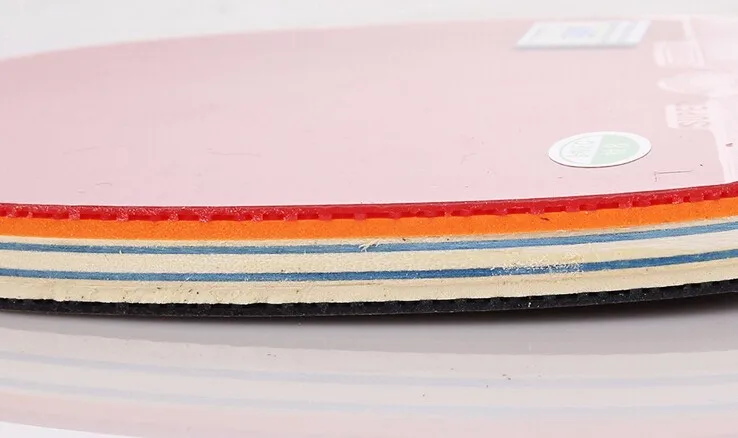 729 Дружба один два три четыре звезды настольный теннис ракетка для pingpong с чехлом FL CS