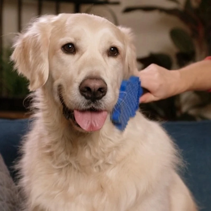 Новое поступление инструмент для груминга и ухода за питомцем расческа волос