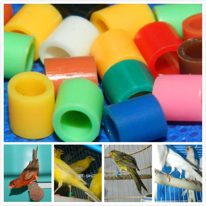 Популярные модели 100 шт./лот кольца для птиц повязки на ногу попугаев канареек