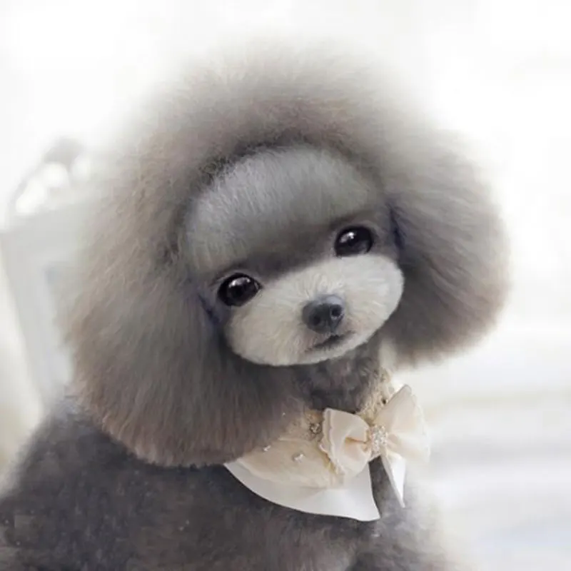 Pet Dog Accessories Bow-Knot Ties Handmade Necklace Puppy Neckties For Small Dogs Collar Fur Adorn Pearl Grooming Supplies | Дом и сад