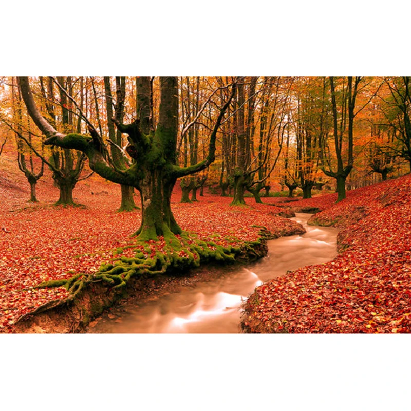 

K033 YIKEE Maples diamond painting,diamond painting cross stitch,5d diy diamond painting