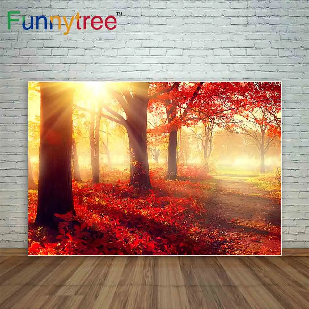 Фон для фотосъемки Funnytree осень закат парк листья Тропик дерево туманное