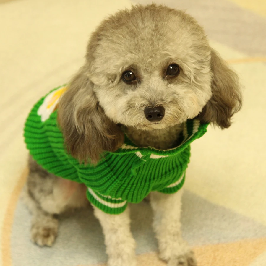 Милый свитер для собаки Рождество маленький средний осенний Bichon плюшевое пальто