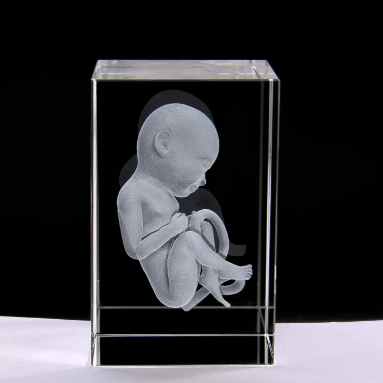 Фото 3D стерео кристалл Детская анатомическая модель докторская Студенческая Модель