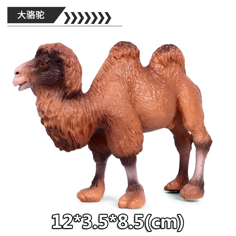 toy - 27 DIY Wild Jungle Zoo модели животных Plasti фигурки манга размеры Коллекция Модель Кукла игрушка для обучения для детей подарок - Цвет: toy - 27