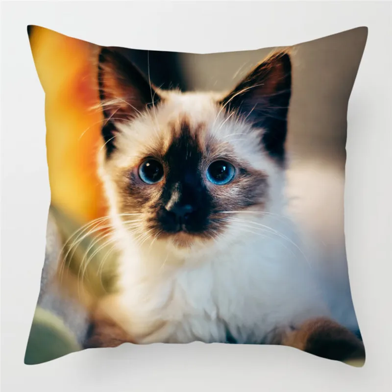 PC07364 Fuwatacchi милый чехол для подушки с кошкой размером 45*45 см канадский голая Наволочки домашние декоративные подушки для дивана, подушка для дома, стула, бросьте, наволочки для подушек - Цвет: PC07364
