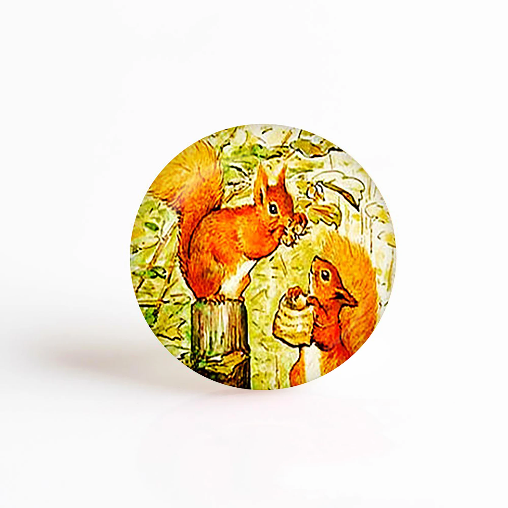 5 шт./лот подвеска с изображением сказки белки ореха 25 мм круглый стеклянный